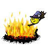 vedma1